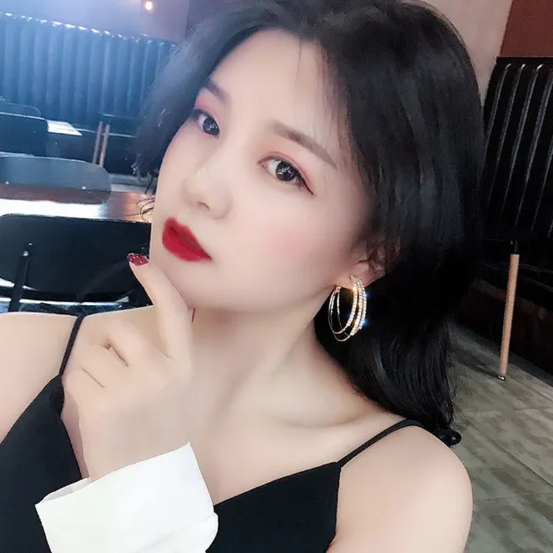 Plated Silver Needle and Diamond Circle Earrings Female Korean Temperament Personality Hoop Earrings Korean Trend Multi-layer Earrings