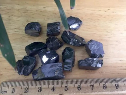 1 Elite Shungite Specimen Silver Noble Shungite Rough Stone Crystal Reiki.