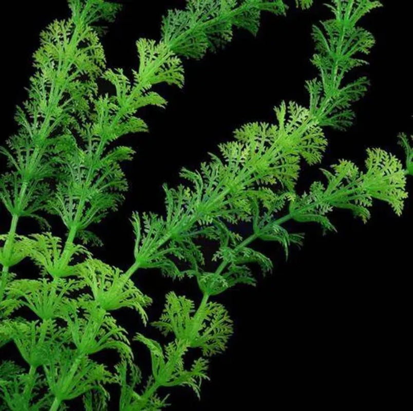 Delysia King Aquarium Fish Tank Decoration Aquatic Plants Artificial Green Grass